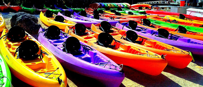 Kayaking Equipment