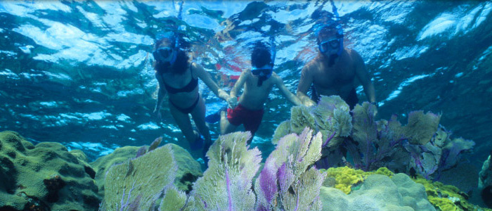 Snorkelers Underwater